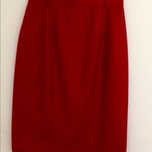 David N. Skirt